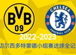 本菲卡vs费内巴切比赛分析