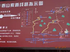 山东泰山今晚出战阵容最新